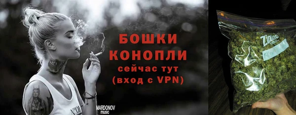 мдпв Бородино