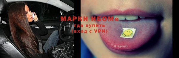 мдпв Бородино