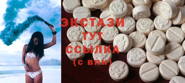мдпв Бородино