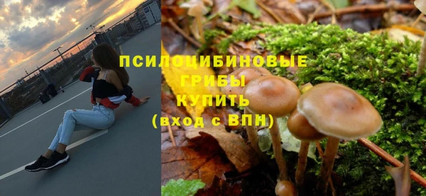 мдпв Бородино
