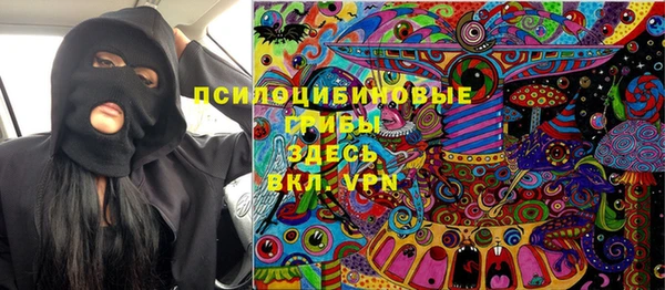 мдпв Бородино