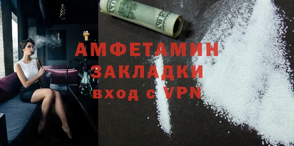 мдпв Бородино