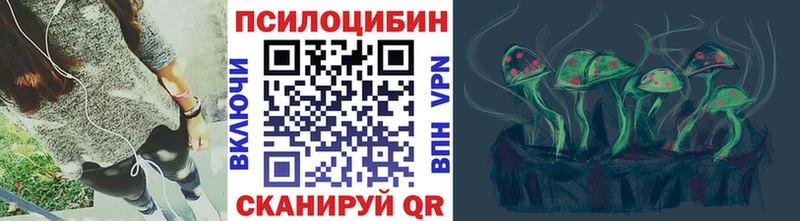 Псилоцибиновые грибы Cubensis  Гусиноозёрск 