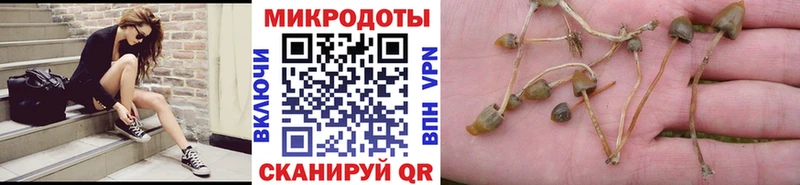 Псилоцибиновые грибы MAGIC MUSHROOMS Гусиноозёрск
